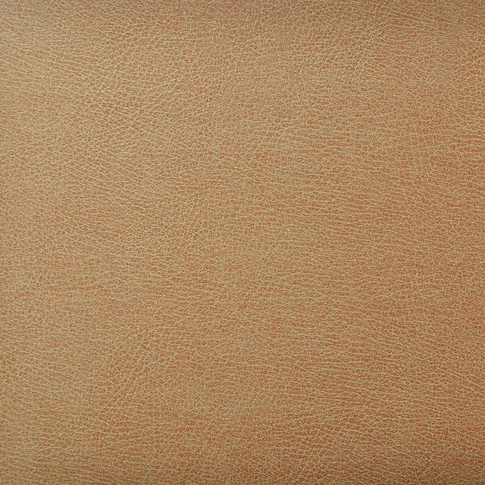 Caswell-6 by Kravet Design Fabric POLYESTER - 55%;POLYURETHANE - 45% Korea, Republic of HEAVY Horizontal: 0 and Vertical: 0 54 - Fabric Carolina -
