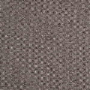 Clifton # 109 Gazelle by Maxwell Fabric