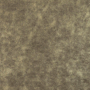 Cheers # 11 Earth by Maxwell Fabric