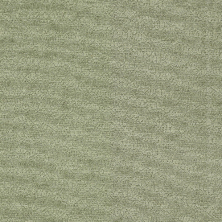 Cavalier 1 Balsam by Stout Fabric Stout Fabric Cavalier 1 BalsamFabric RAINBOW LIBRARY SAGE/CYPRESS 100%POL CHINA </p><p>Repeat: H: 6.750, V: 6.750 55 in - Fabric Carolina -
