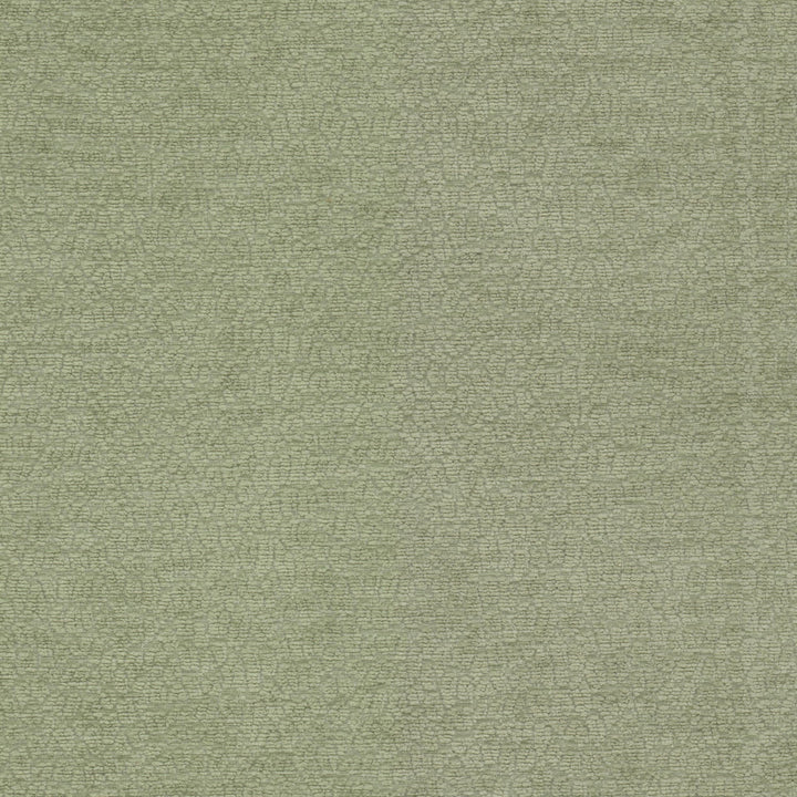Cavalier 1 Balsam by Stout Fabric RAINBOW LIBRARY SAGE/CYPRESS 100%POL CHINA WYZENBEEK 25 000 DOUBLE RUB WEAR TEST (HEAVY DUTY) Horizontal: 6.750 and Vertical: 6.750 55 in - Fabric Carolina -