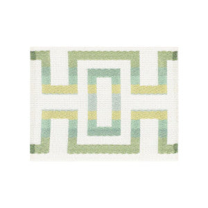Caviar Tape 4 Lime by Stout Trim