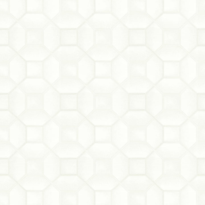Cayapa 1 Porcelain by Stout Fabric COLOR MY WINDOW EGGSHELL/PEARL 58%POL 42%COT INDIA CATB 117-2013 WYZENBEEK 51 000 DOUBLE RUB WEAR TEST (HEAVY DUTY) Horizontal: 9.25 and Vertical: 8.75 55 in - Fabric Carolina -
