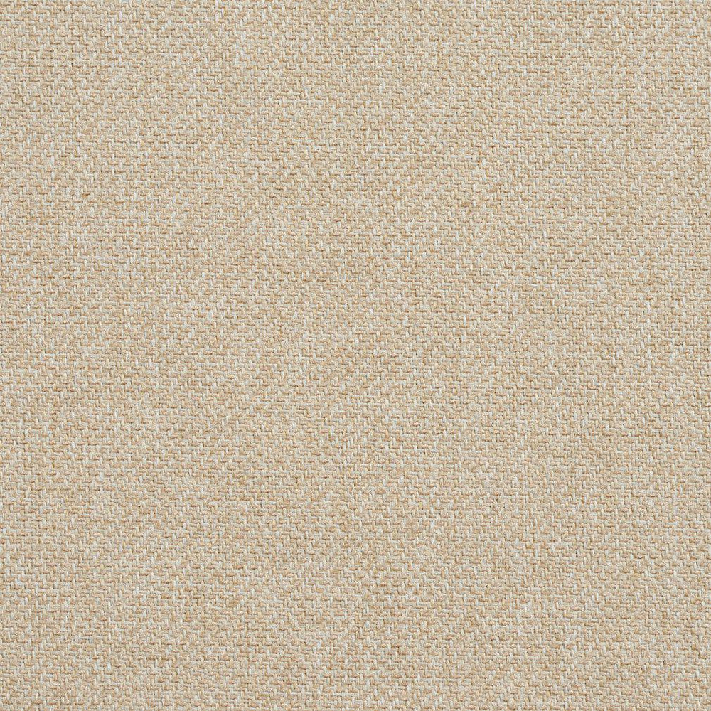 CB600-02 by Charlotte Designer Fabric Ecru 100% Woven Polyester Asia Exceeds 150,000 Wyzenbeek Rubs (Heavy Duty) No Repeat 54 Inches - Swanky Fabrics -