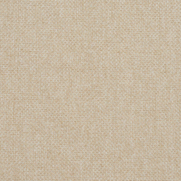 CB600-02 by Charlotte Designer Fabric Ecru 100% Woven Polyester Asia Exceeds 150,000 Wyzenbeek Rubs (Heavy Duty) No Repeat 54 Inches - Swanky Fabrics -