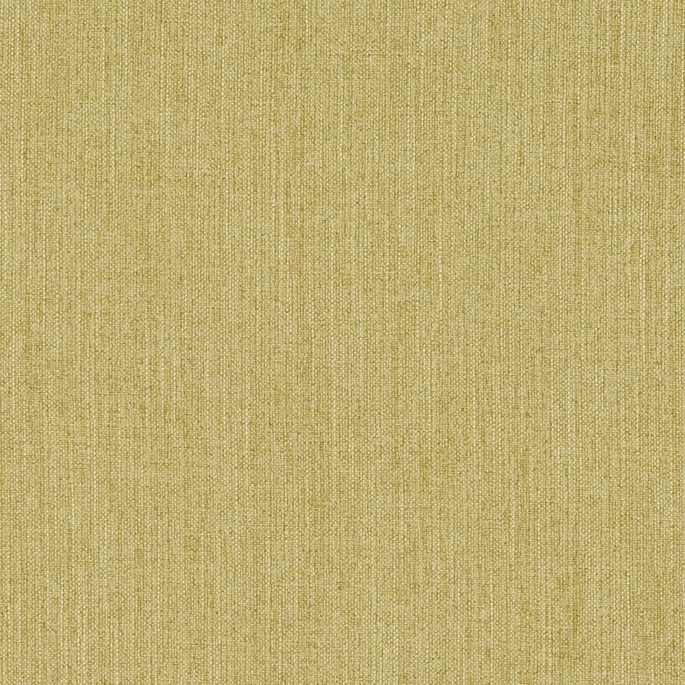 CB600-110 by Charlotte Designer Fabric Shades of Spring 100% Woven Polyester Asia Exceeds 120,000 Wyzenbeek Rubs (Heavy Duty) No Repeat 54 Inches - Swanky Fabrics -