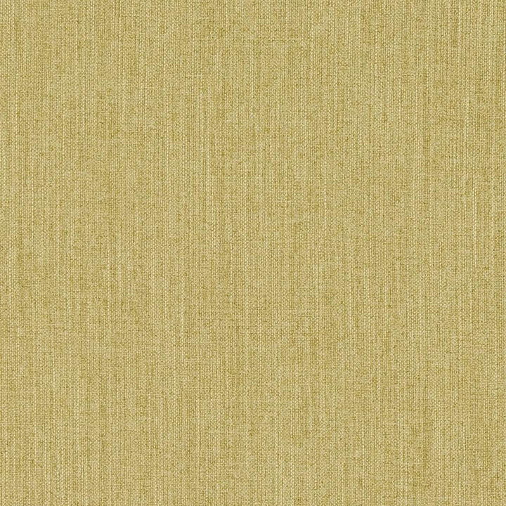CB600-110 by Charlotte Designer Fabric Shades of Spring 100% Woven Polyester Asia Exceeds 120,000 Wyzenbeek Rubs (Heavy Duty) No Repeat 54 Inches - Swanky Fabrics -