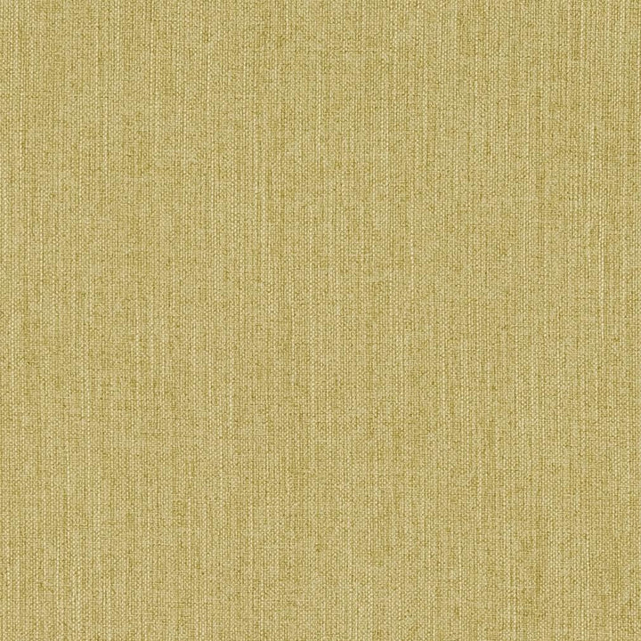 CB600-110 by Charlotte Fabric Shades of Spring 100% Woven Polyester Asia Exceeds 120,000 Wyzenbeek Rubs (Heavy Duty) No Repeat 54 Inches - Fabric Carolina -