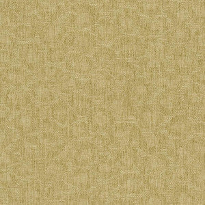 CB600-131 by Charlotte Fabric