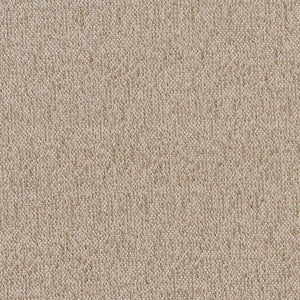 CB600-151 by Charlotte Fabric