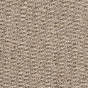 CB600-152 by Charlotte Fabric