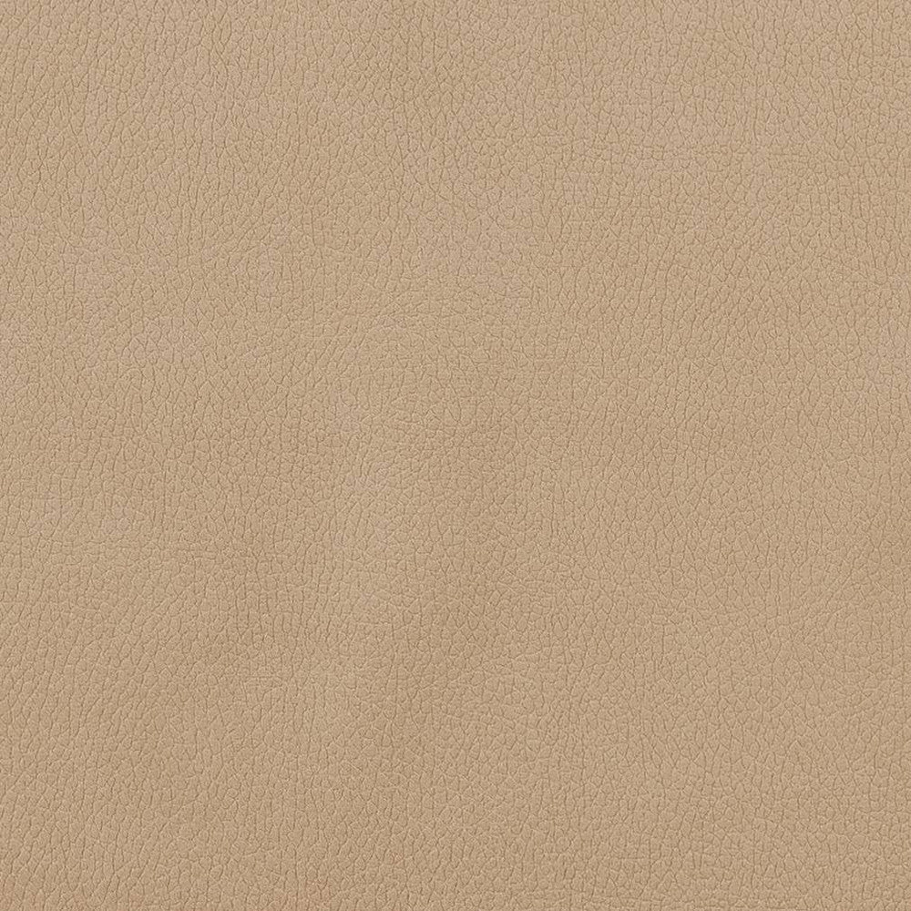 CB600-156 by Charlotte Fabric Shades of Neutral 100% Woven Polyester Asia Exceeds 190,000 Wyzenbeek Rubs (Heavy Duty) </p><p>Repeat: No Repeat 54 Inches - Fabric Carolina -