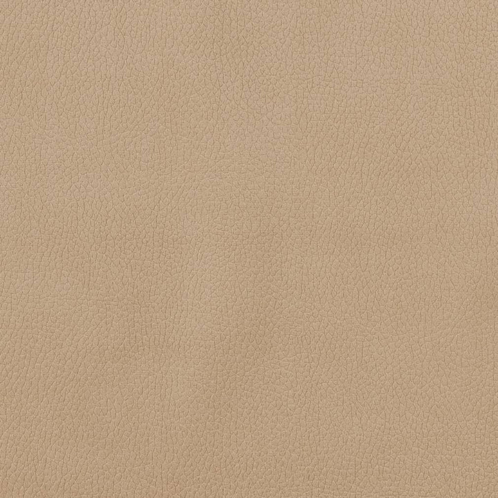 CB600-156 by Charlotte Fabric Shades of Neutral 100% Woven Polyester Asia Exceeds 190,000 Wyzenbeek Rubs (Heavy Duty) </p><p>Repeat: No Repeat 54 Inches - Fabric Carolina -