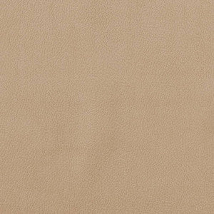 CB600-156 by Charlotte Fabric