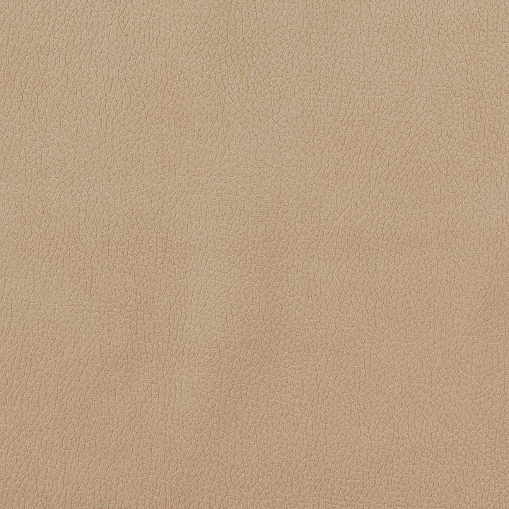 CB600-156 by Charlotte Designer Fabric Shades of Neutral 100% Woven Polyester Asia Exceeds 190,000 Wyzenbeek Rubs (Heavy Duty) </p><p>Repeat: 54 Inches - Swanky Fabrics -