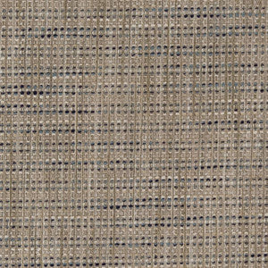 CB600-184 by Charlotte Fabric