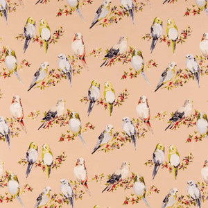 CB600-205 by Charlotte Fabric