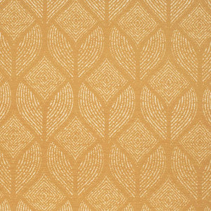 CB600-262 by Charlotte Fabric