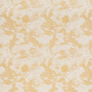 CB600-268 by Charlotte Fabric