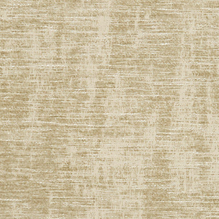CB700-02 by Charlotte Fabric Taupe 100% Woven Polyester Asia Exceeds 60,000 Wyzenbeek Rubs (Heavy Duty) No Repeat 54 Inches - Fabric Carolina -