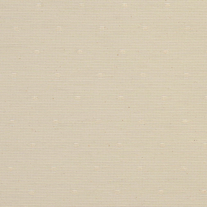 CB700-12 by Charlotte Fabric White 55% Cotton, 45% Polyester Spain Exceeds 30,000 Wyzenbeek Rubs (Heavy Duty) Horizontal: 2" x Vertical: 2" 54 Inches - Fabric Carolina -