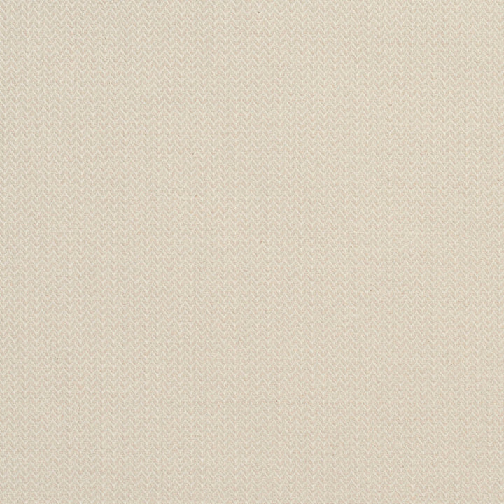 CB700-13 by Charlotte Fabric White 100% Cotton Spain Exceeds 64,000 Wyzenbeek Rubs (Heavy Duty) No Repeat 54 Inches - Fabric Carolina -