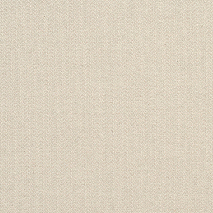 CB700-13 by Charlotte Designer Fabric White 100% Cotton Spain Exceeds 64,000 Wyzenbeek Rubs (Heavy Duty) No Repeat 54 Inches - Swanky Fabrics -