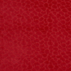CB700-228 by Charlotte Fabric
