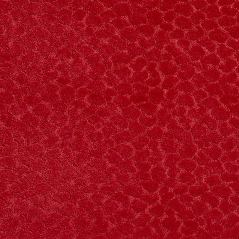 CB700-228 by Charlotte Fabric Shades of Coral 100% Woven Polyester Asia Exceeds 160,000 Wyzenbeek Rubs (Heavy Duty) </p><p>Repeat: Horizontal: 1.5" x Vertical: 3.5" 54 Inches - Fabric Carolina -