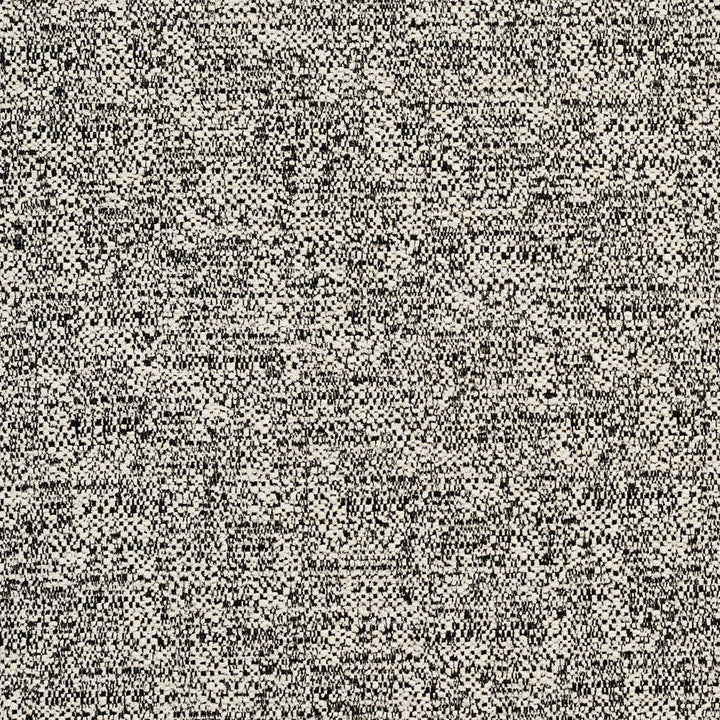 CB700-248 by Charlotte Designer Fabric Black & White 100% Woven Polyester Asia Exceeds 100,000 Wyzenbeek Rubs (Heavy Duty) No Repeat 54 Inches - Swanky Fabrics -