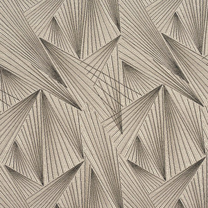 CB700-250 by Charlotte Fabric