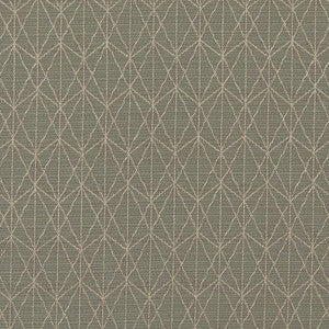 CB700-297 by Charlotte Fabric