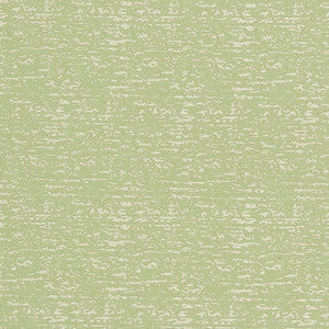 CB700-300 by Charlotte Fabric