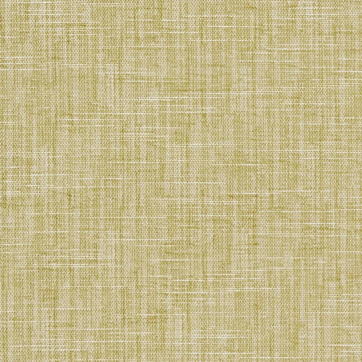 CB700-302 by Charlotte Fabric Shades of Spring 100% Woven Polyester Asia Exceeds 100,000 Wyzenbeek Rubs (Heavy Duty) </p><p>Repeat: 54 Inches - Fabric Carolina -