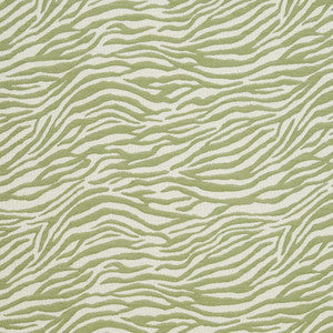 CB700-305 by Charlotte Fabric