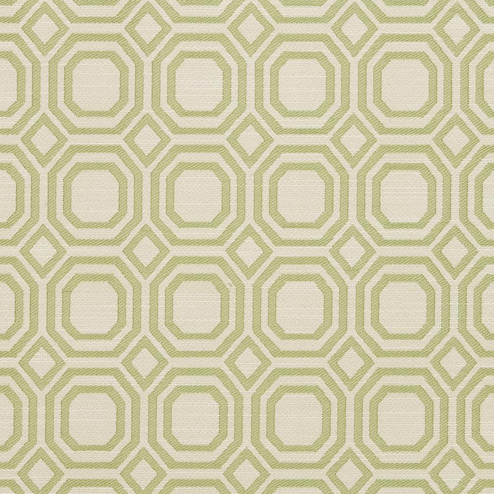 CB700-307 by Charlotte Fabric Shades of Spring 100% Woven Polyester Asia Exceeds 50,000 Wyzenbeek Rubs (Heavy Duty) </p><p>Repeat: Horizontal: 2.25" x Vertical: 2.25" 54 Inches - Fabric Carolina -