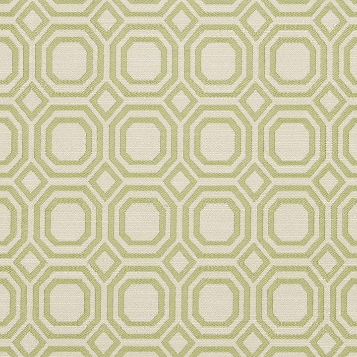 CB700-307 by Charlotte Fabric Shades of Spring 100% Woven Polyester Asia Exceeds 50,000 Wyzenbeek Rubs (Heavy Duty) </p><p>Repeat: Horizontal: 2.25" x Vertical: 2.25" 54 Inches - Fabric Carolina -