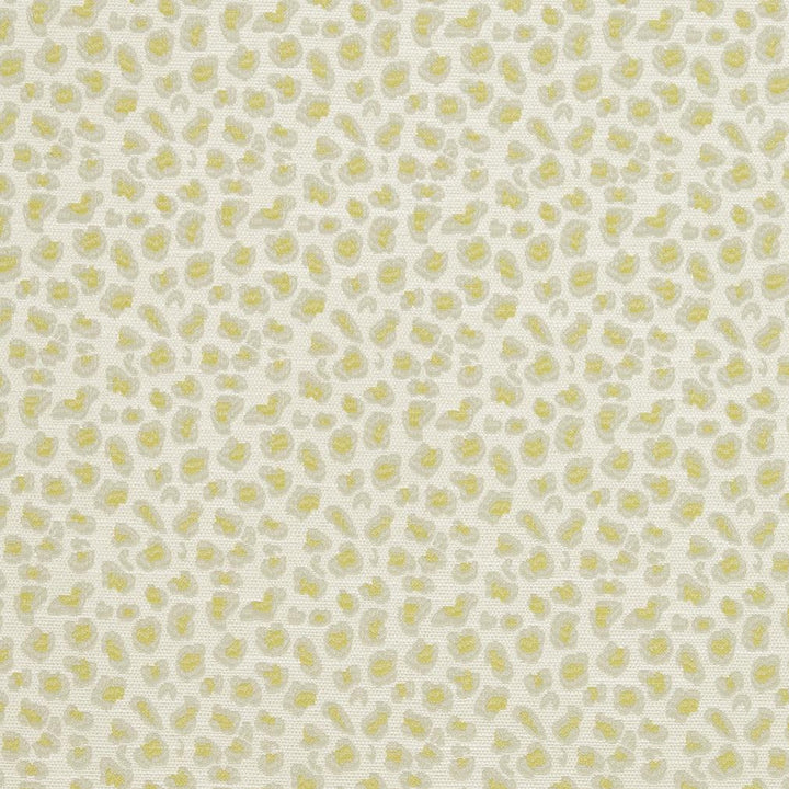 CB700-310 by Charlotte Fabric Shades of Spring 100% Woven Polyester Asia Exceeds 120,000 Wyzenbeek Rubs (Heavy Duty) Horizontal 3.5" x Vertical 3.5" 54 Inches - Fabric Carolina -