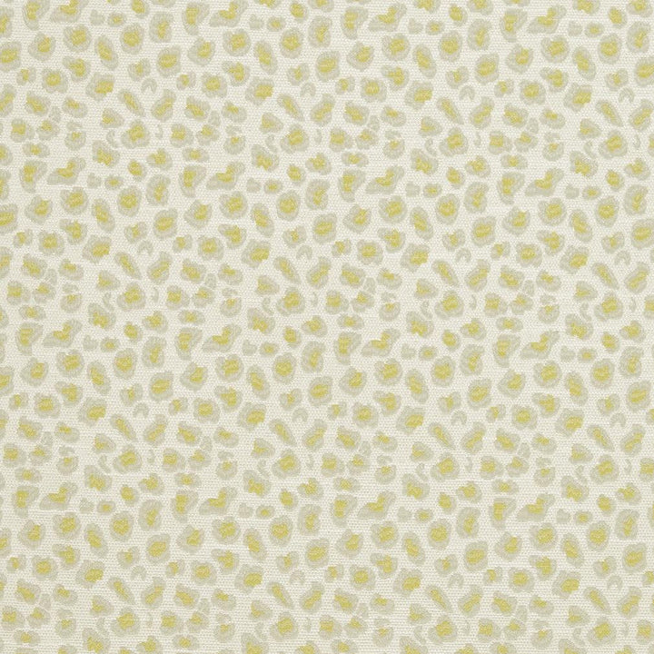 CB700-310 by Charlotte Designer Fabric Shades of Spring 100% Woven Polyester Asia Exceeds 120,000 Wyzenbeek Rubs (Heavy Duty) Horizontal 3.5" x Vertical 3.5" 54 Inches - Swanky Fabrics -