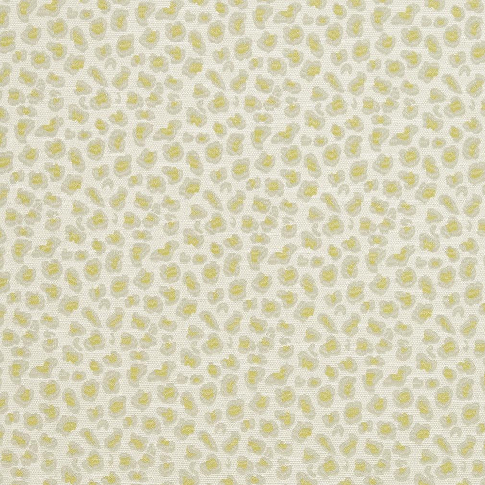 CB700-310 by Charlotte Designer Fabric Shades of Spring 100% Woven Polyester Asia Exceeds 120,000 Wyzenbeek Rubs (Heavy Duty) </p><p>Repeat: Horizontal: 3.5" x Vertical: 3.5" 54 Inches - Swanky Fabrics -