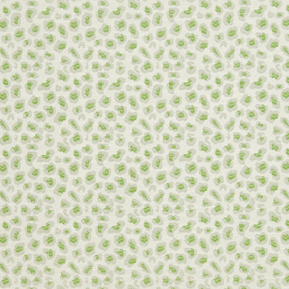 CB700-311 by Charlotte Fabric Shades of Spring 100% Woven Polyester Asia Exceeds 120,000 Wyzenbeek Rubs (Heavy Duty) </p><p>Repeat: Horizontal: 3.5" x Vertical: 3.5" 54 Inches - Fabric Carolina -