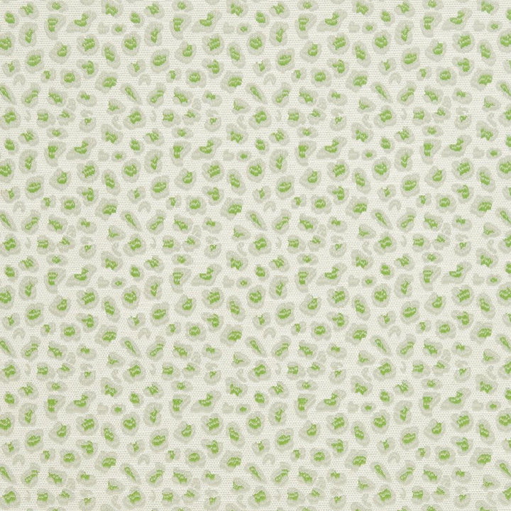 CB700-311 by Charlotte Fabric Shades of Spring 100% Woven Polyester Asia Exceeds 120,000 Wyzenbeek Rubs (Heavy Duty) Horizontal 3.5" x Vertical 3.5" 54 Inches - Fabric Carolina -