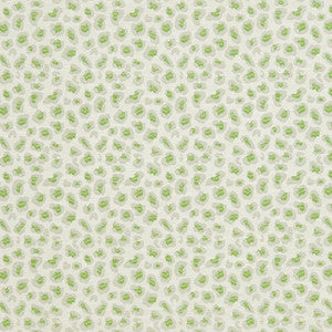 CB700-311 by Charlotte Fabric