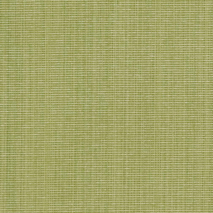 CB700-316 by Charlotte Fabric Shades of Spring 51% Cotton, 30% Polyester, 19% Rayon Asia Exceeds 120,000 Wyzenbeek Rubs (Heavy Duty) No Repeat 54 Inches - Fabric Carolina -