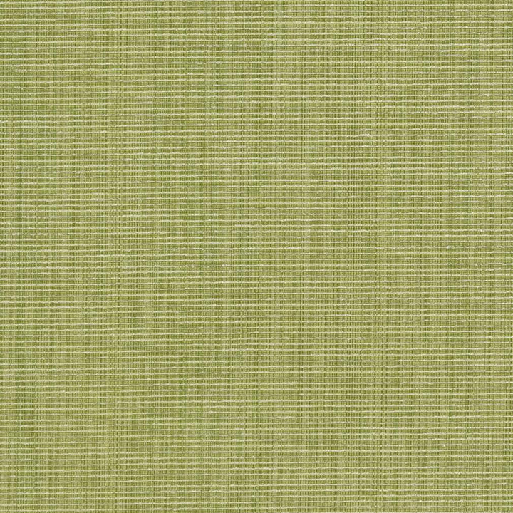 CB700-316 by Charlotte Designer Fabric Shades of Spring 51% Cotton, 30% Polyester, 19% Rayon Asia Exceeds 120,000 Wyzenbeek Rubs (Heavy Duty) </p><p>Repeat: No Repeat 54 Inches - Swanky Fabrics -
