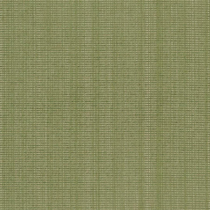 CB700-317 by Charlotte Fabric Shades of Spring 51% Cotton, 30% Polyester, 19% Rayon Asia Exceeds 120,000 Wyzenbeek Rubs (Heavy Duty) </p><p>Repeat: 54 Inches - Fabric Carolina -