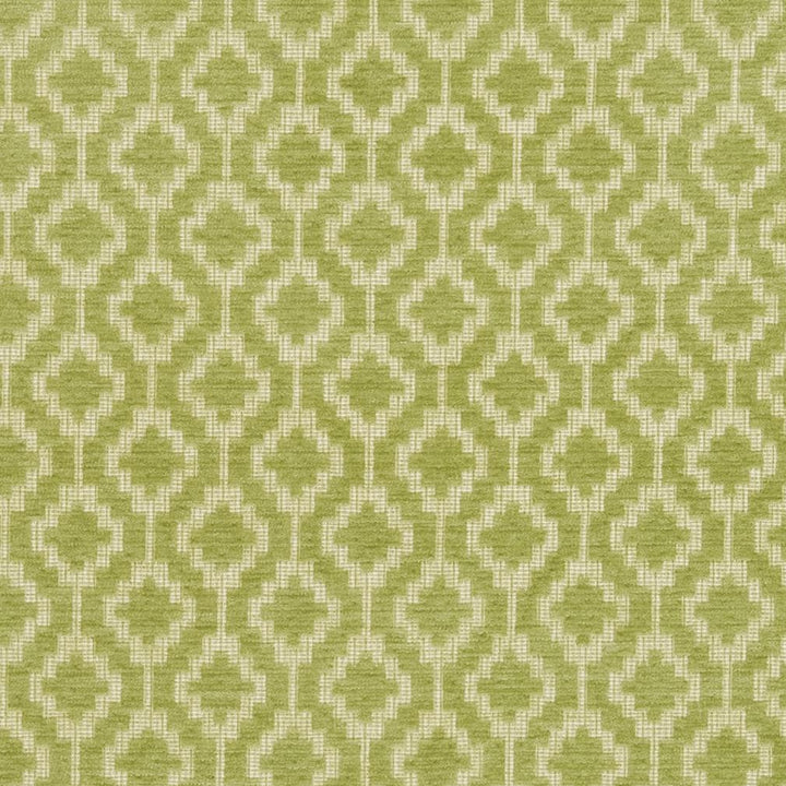 CB700-331 by Charlotte Fabric Shades of Spring 100% Woven Polyester Asia Exceeds 90,000 Wyzenbeek Rubs (Heavy Duty) Horizontal 2" x Vertical 2" 54 Inches - Fabric Carolina -