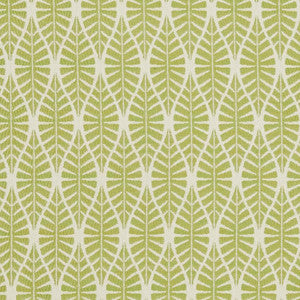 CB700-334 by Charlotte Fabric