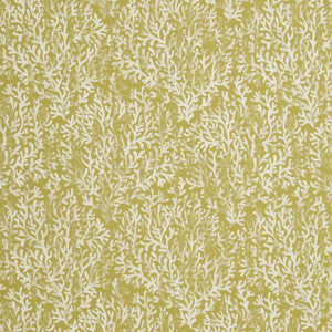 CB700-335 by Charlotte Fabric