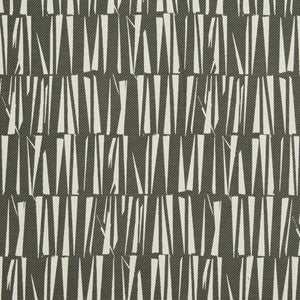 CB700-342 by Charlotte Fabric